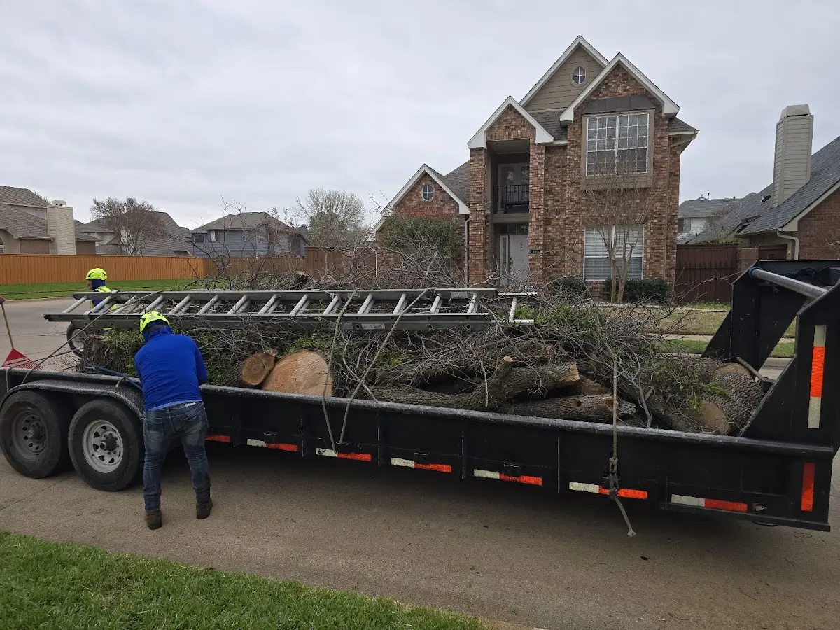 Expert Tree Removal with proper safety equipment in Glen Lyon